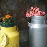 Casa Suenos 3* 擞莫
