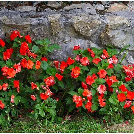 Hotel Casa Suenos 3*