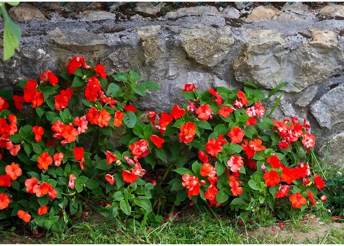 Hotel Casa Suenos 3*